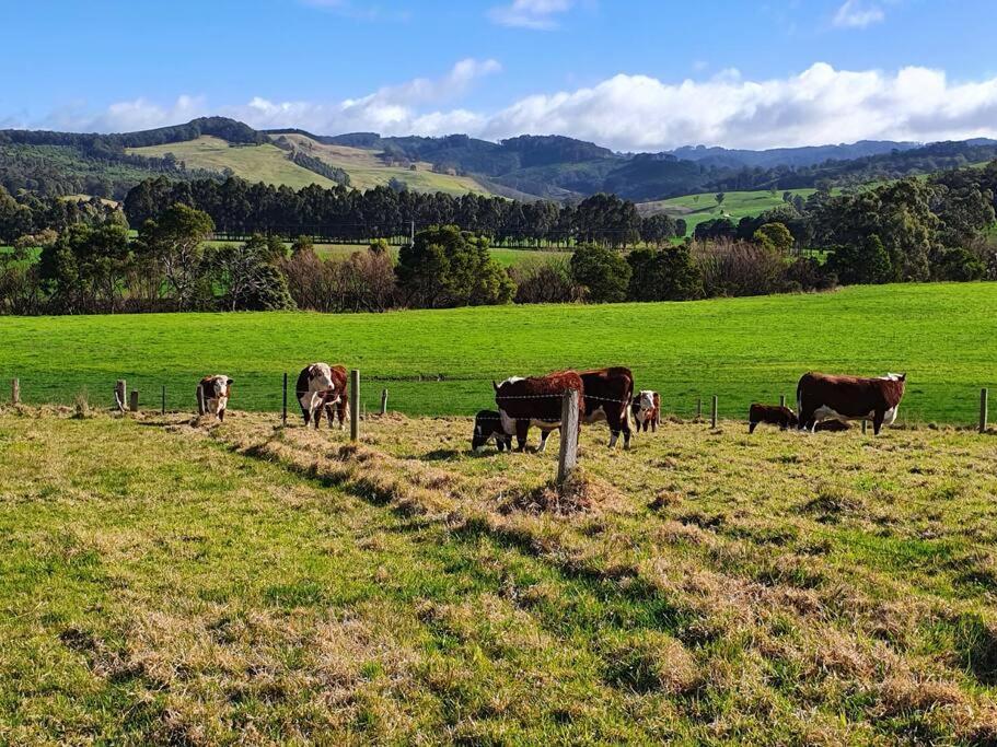 Handsome Hills Dairy Retreat Won Wron Extérieur photo