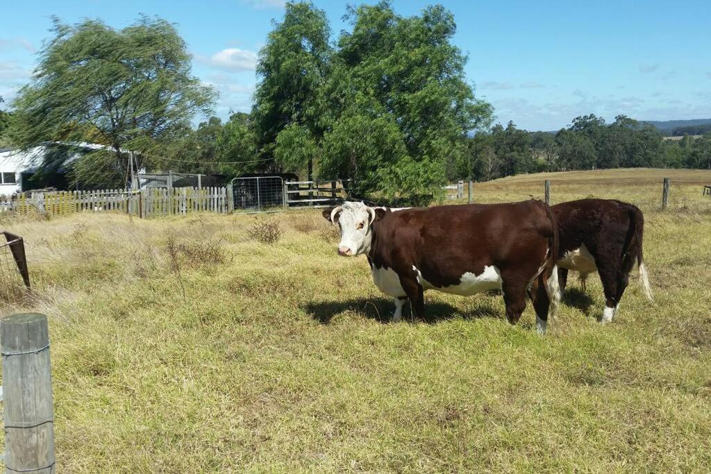 Handsome Hills Dairy Retreat Won Wron Extérieur photo